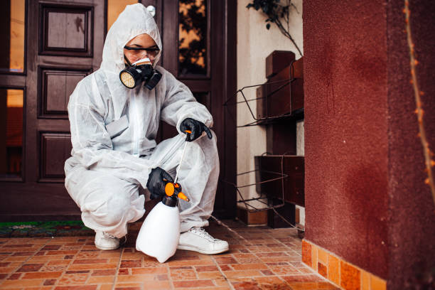 Attic and Crawl Space Rodent Treatment in Madison