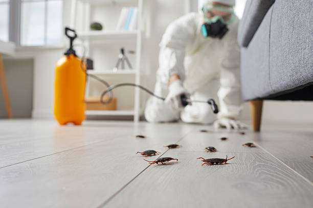 Commercial Rodent Management in Madison
